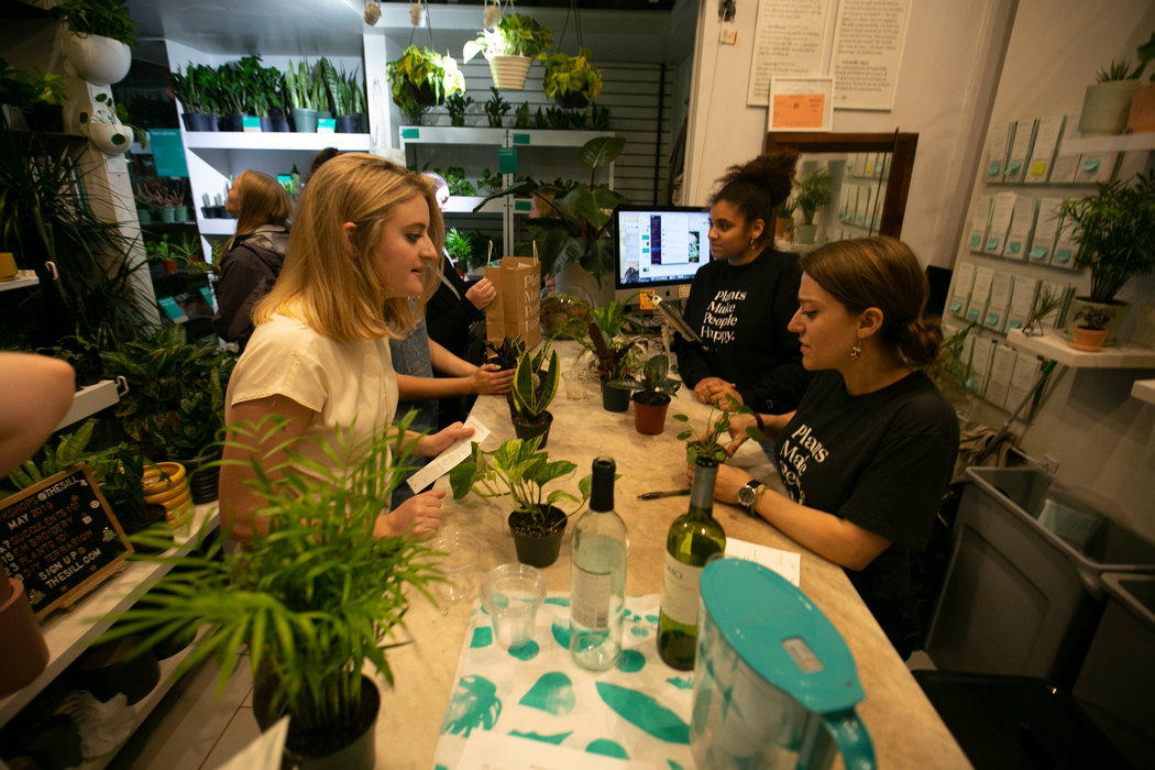 Emily Deevers left, 23, has a few last questions for Elana Frank, 25, after the Plants 101 workshop, as others choose their new potted plants.